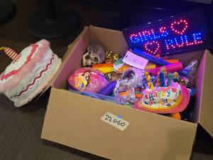 lot 22060 image: Assorted Party Lot w Birthday Cake Hats, LED Girls Rule Sign & Princess Helmet