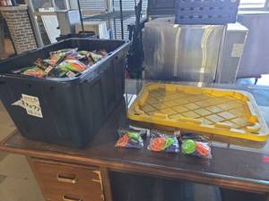lot 22073 image: Lot of Neon Coil Keychains Packs of 12 Assorted Orange Green Purple w Bin