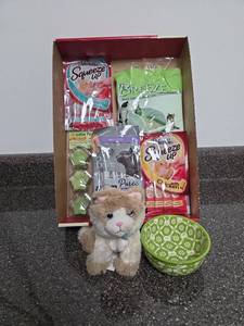 lot 153 image: Cat Supplies Lot Treats, Litter, Pads, Food and Accessories Bundle