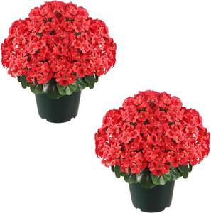 lot 2068 image: Romantic season 20 Artificial Geraniums Bush in Pot, Outdoor Fake Potted Plant with UV Resistant Red Flowers for Patio, Front Porch, Garden, Balcony & Home Decor