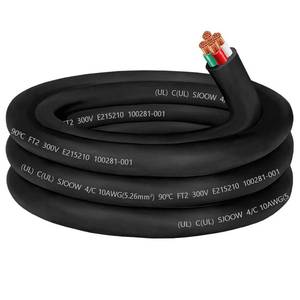 lot 3137 image: 10ft 104 Wire 30amp 10 Gauge SJOOW Cable 10 Gauge 4 Conductor Wire SJOOW