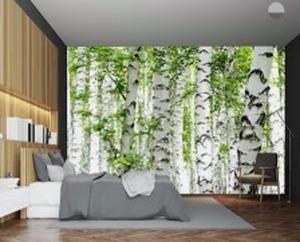 lot 5292 image: $130 Cliouar-Photo Wallpaper Birch Forest Landscape Trees Poster Nature Lovers Green Forest Bedroom Decoration Mural 103 x 69(Not Peel and Stick)
