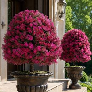 lot 5296 image: BLOSMON Faux Cedar Topiary Trees with Stake for Outdoor Planters, Set of 2