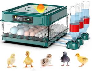 lot 7132 image: Intelligent Poultry Incubator - 38 Eggs, Automatic Turner & Temperature Control for Hatching Chicken, Quail, Bird & Duck Eggs