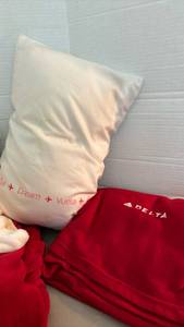 lot 1422 image: Delta Airlines Bedding Set Pillow (small stain) Blanket Red White Checkered and brown and white checked