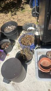 lot 4112 image: Ceramic and plastic planters and small trash can