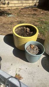 lot 4114 image: Ceramic planters