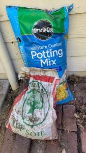 lot 4203 image: Potting soil