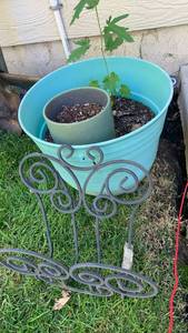 lot 4209 image: 16 inch planter, hose rack and small flower pot