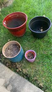 lot 4211 image: Assorted flower pots, 2 ceramic and 2 plastic 11 inch and smaller