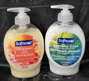 lot 1017 image: Softsoap Liquid Hand Soap 2-Pack Milk Honey and Aloe Vera 7.5 FL OZ - Retail $0