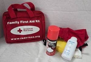 lot 1087 image: American Red Cross Family First Aid Kit with Bag of Personal Supplies - Retail $0