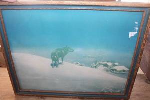 lot 4964 image: Antique Wolf Pictures 16 x 20