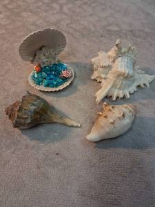 lot 30 image: Seashell Lot 4 Piece Decorative Shells with Miniature Coral Scene Display