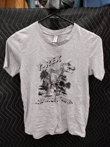 lot 9020 image: BellaCanvas Kids Heather Gray T-Rex The Mighty Clan Graphic T-Shirt Size L 14-16