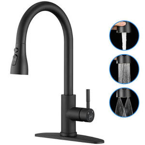 lot 1052 image: SUS304 Stainless Steel Pull-Down Kitchen Faucet in Matte Black Finish