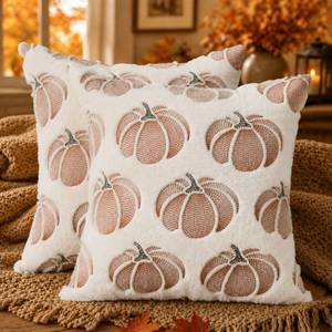 lot 2210 image: DFXSZ Fall Pillow Covers 20x20 White Pumpkin Plush Autumn Home Decor 093C20