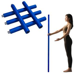 lot 6310 image: Mars Golf Blue Foam-Covered Extension Pole Set with Threaded Metal Connectors