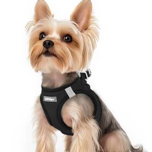 lot 6365 image: rabbitgoo Step-in Small Dog Harness, Puppy Vest for Small Sized Pet