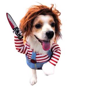 lot 6389 image: SEIS Pet Deadly Doll Costume and Wig, Halloween Dog Clothes, Cat Apparel, M