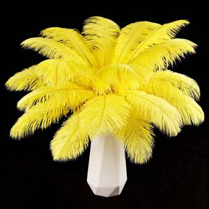 lot 8293 image: THARAHT Yellow Ostrich Feathers 24pcs Natural Bulk 8-10Inch 20cm-25cm for Crafts Wedding Party Centerpieces Halloween and Home Decoration Feathers