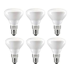 lot 13366 image: FMLAD BR30 75W Flood Incandescent Light Bulbs, 2700K Soft White, 6-Pack
