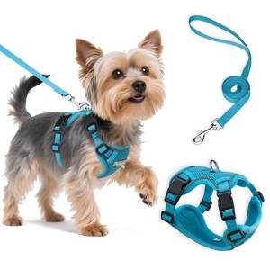 lot 14139 image: Ychpaw Small Dog Harness and Leash Set, Adjustable