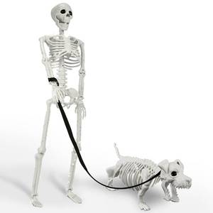 lot 19550 image: IDEAALS Halloween Posable Human Skeleton and Skeleton Dog Set with Leash
