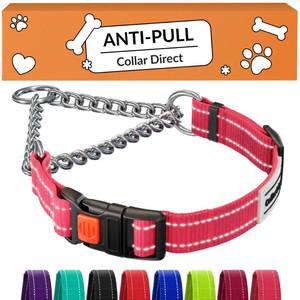 lot 20426 image: CollarDirect Martingale Dog Collar, Steel Chain, Reflective, M