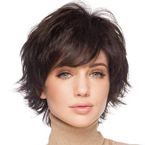 lot 12718 image: Sallcks Short Layered Wig for Women Brown Natural Fluffy Synthetic Hair Replacement Wig for Daily Party Halloween