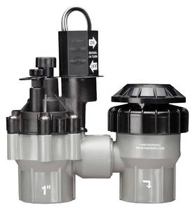 lot 2354 image: Rain Bird 1 Anti-Siphon Valve DASASVF100