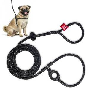 lot 2456 image: No-Pull Dog Harness and Leash Set, SmallMedium