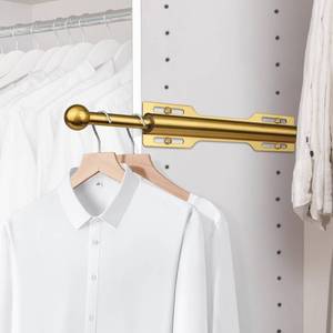 lot 8481 image: FIRJOY Valet Rod for Closet Pull Out 12 Inch Brushed Gold, 1 Pack