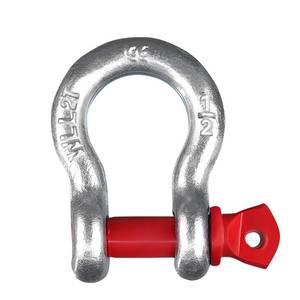 lot 14273 image: 12 D-Ring Bow Shackle, 4409 LBS WLL
