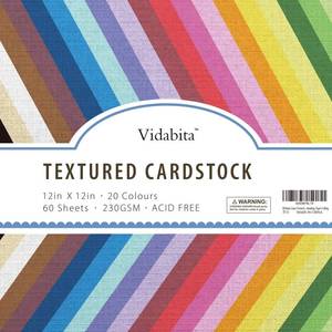 lot 14275 image: 2 Pack Vidabita Colored Cardstock Paper 12x12 Inch 85 lb 120 Sheets