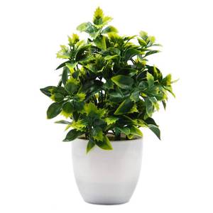 lot 10182 image: OFFIDIX Artificial Plastic Mini Plants in White Pot,Desk Plant Artificial Flowers with Vase,Small Faux Plastic Plants for Home Kitchen Garden Office Indoor Decor
