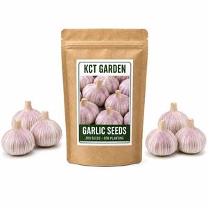 lot 8126 image: KCT Garden Garlic Seeds for Planting, 300 Count, Allium Sativum
