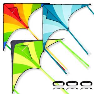 lot 2875 image: JOYIN 3 Pack Large Delta Kite 262.5 ft String Green Blue Rainbow