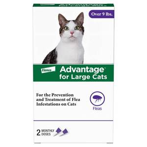 lot 8264 image: Advantage Cat Flea Treatment for Large Cats Over 9 lbs, 2 Treatments