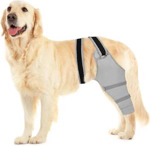 lot 14209 image: Joypig Dog Rear Leg Sleeve Anti-Lick Surgery Recovery, Sizes S-40XL