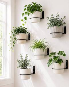 lot 14238 image: Vensovo Metal Wall Planter Rings 6 Pack 6 Inch Black