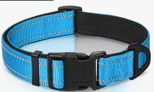 lot 2951 image: Light Blue Adjustable Dog Collar with Black Side-Release Buckle and Metal D-Ring
