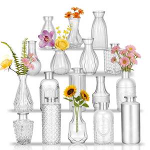 lot 1353 image: Clear Glass Bud Vases Small Flower Vase Set 17 Pc