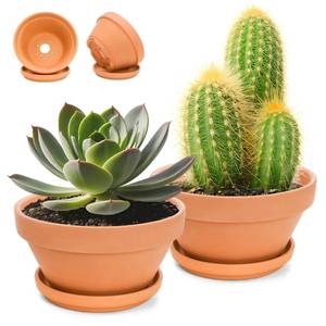 lot 1356 image: Mezchi 2 Pack 8 Inch Shallow Terracotta Planter Pots with Drainage Hole