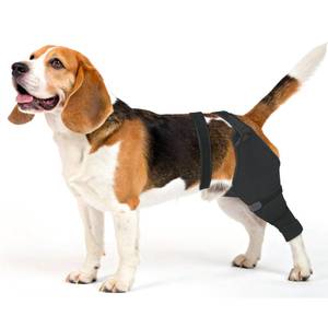 lot 2134 image: Joypig Dog Rear Leg Sleeve Size M Left Black
