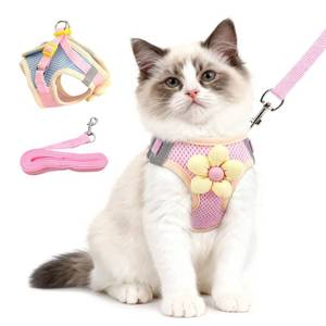 lot 2226 image: MOASIOP Cat Harness Leash Set Mesh Vest Size S