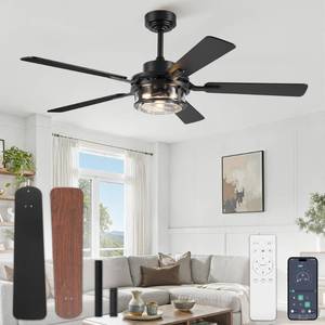 lot 7794 image: Fanbulous 52-Inch Farmhouse Ceiling Fan with Light and Remote, Rain Glass