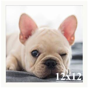 lot 8166 image: Run Helix 12x12 Picture Frame, White, Plexiglass Wall Gallery Photo Frame