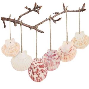 lot 14450 image: SINKOO Natural Scallop Shells for Crafts 1.7-2.6 Inch Seashells