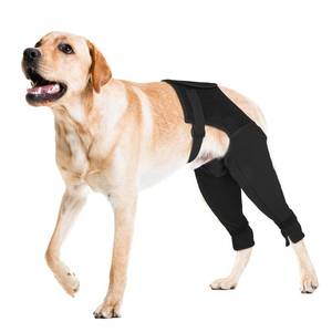 lot 14463 image: Pawfun Dog Rear Leg Sleeve to Stop Licking Recovery Pants XL